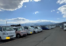 バラエティに富んだ出品車が並ぶ