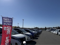日産プラザソル　東京会場の共有在庫車