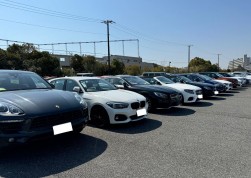 輸入車市場ならではの出品車が並ぶ