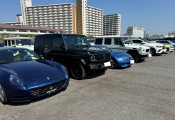 輸入車市場ならではの出品車が並ぶ
