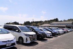 多くの良質小売りダマが集まり、活気あふれるセリ
