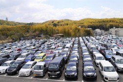 出品ヤードには７０１台もの出品車が所狭しと並んだ