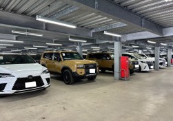 良質車が多数並ぶ
