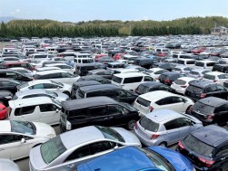 ヤードを埋め尽くした出品車