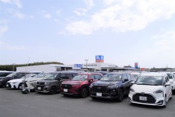 バラエティ豊かな出品車が並ぶ