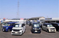 広々とした展示場に軽乗用車中心の品揃え