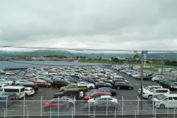 出品ヤードには良質車が多数集まった