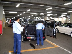 再鑑定の模様