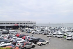 出品台数は高水準で推移している