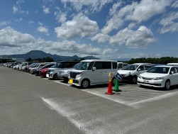 多数の出品車が並ぶ