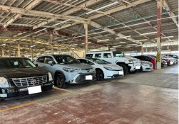 バラエティに富んだ出品車構成も魅力