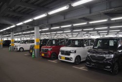 立体出品ヤードは明るく下見もしやすい