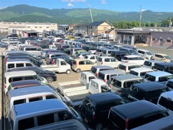 出品ヤードを埋め尽くした出品車