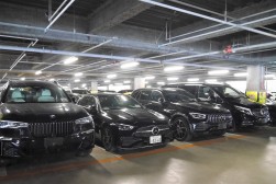 バラエティー豊かな出品車が並ぶ