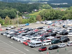 出品ヤードには小売り向け良質車が多く並んだ