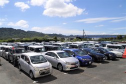 出品ヤードには良質車が多数並んだ