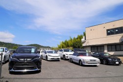 良質車が多く集まった