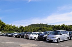 多くの小売りダマを集め、高成約率を記録