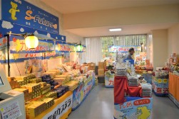 九州物産展が来場