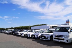 小売り向けの良質車が多く並んだ