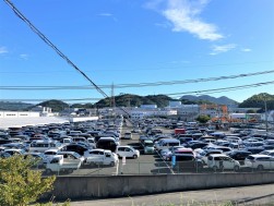 2500台を超える出品車が集まり、活気あふれるAAを展開