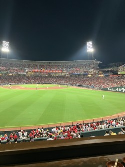 左中間スタンド上のバーベキューテラスから野球観戦