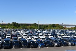 2764台の良質車を集荷