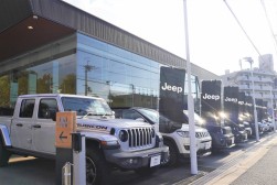 幅広い車種を展示・販売