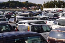 多くの出品車が集まった