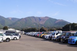 多くの良質車が出品され活気あふれるＡＡ