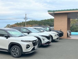 良質小売りダマを多数集めた