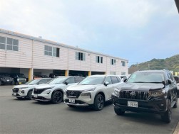 良質小売りダマを多数集めた