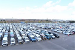 ２９９０台の良質車を集荷