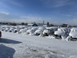 大雪の中、成約率７４％と活気ある初荷ＡＡを開催