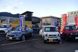 展示場には幅広いジャンルの展示車が並ぶ