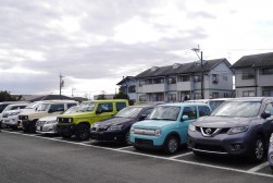 小売りダマも多く集まった