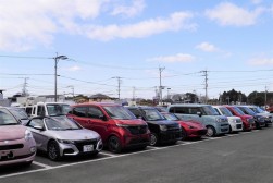 小売りダマも多く集まった