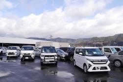 出品ヤードには良質小売りダマが並ぶ