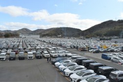 今年度最多の出品２５９１台を記録