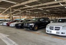 バラエティに富んだ出品車が並ぶ