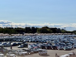 圧倒的な出品台数を集める東京会場