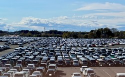 バラエティに富んだ出品車が多数並ぶ