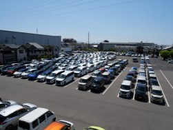 出品台数は６６０台を集荷