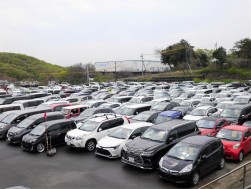 会場内ヤードは整然と出品車が並び、来場者駐車場も十分確保