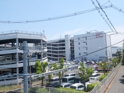 出品、成約ともに歴代１位を記録