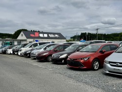 バラエティに富んだ出品車が並ぶ