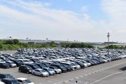 ２８５３台の良質車を集荷