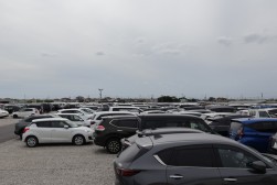 ９０００坪のメインヤード