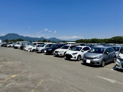 新規搬入車が毎開催高比率を占める