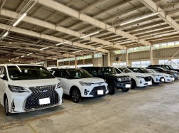 良質車が多数並ぶ出品ヤード